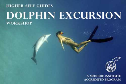 dolphin-excursion-workshop-logo